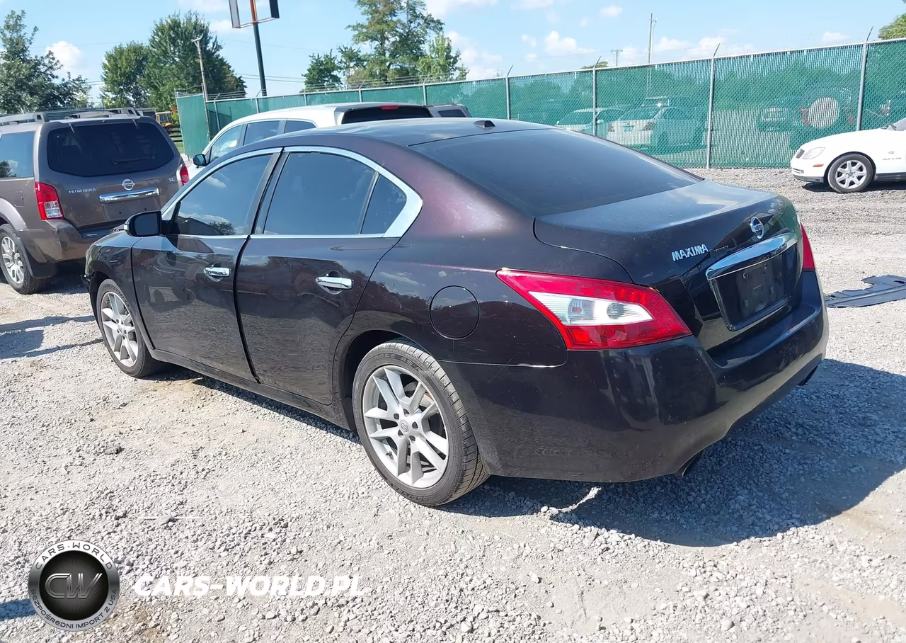 2010 Nissan Maxima 3.5 Sv VIN:1N4AA5AP5AC842221 - 3