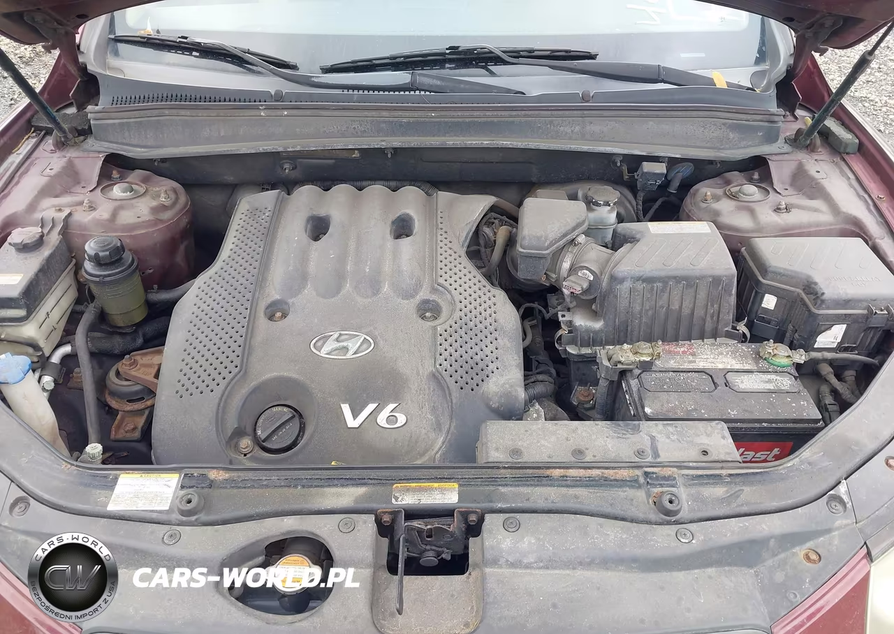 2008 Hyundai Santa Fe Gls VIN:5NMSG13D38H144663 - 10