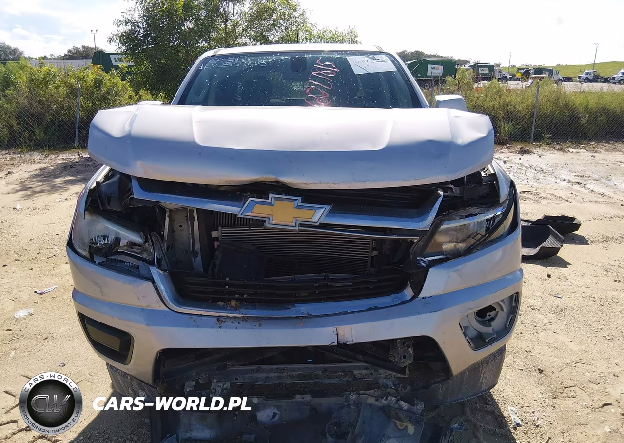 2019 Chevrolet Colorado Lt VIN:1GCGSCEN2K1123214 - 12