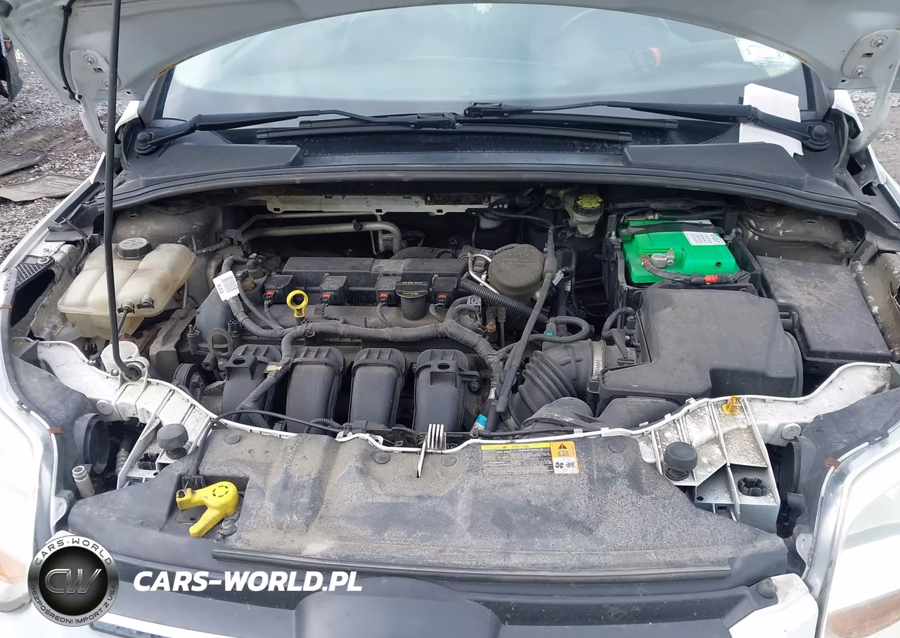 2013 Ford Focus Se VIN:1FADP3F20DL206503 - 10