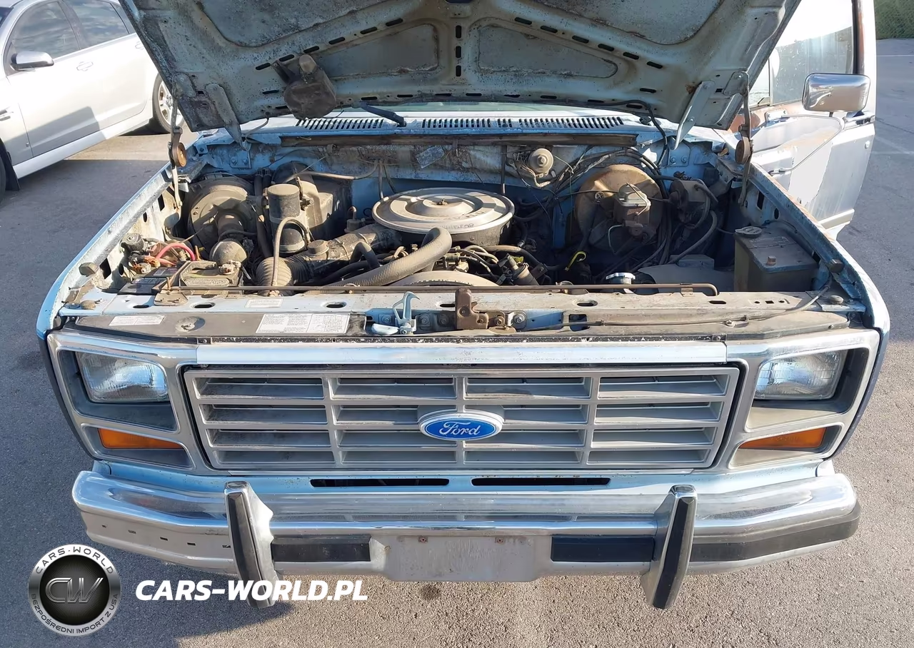 1986 Ford F150 VIN:1FTEF15H3GPA25694 - 10