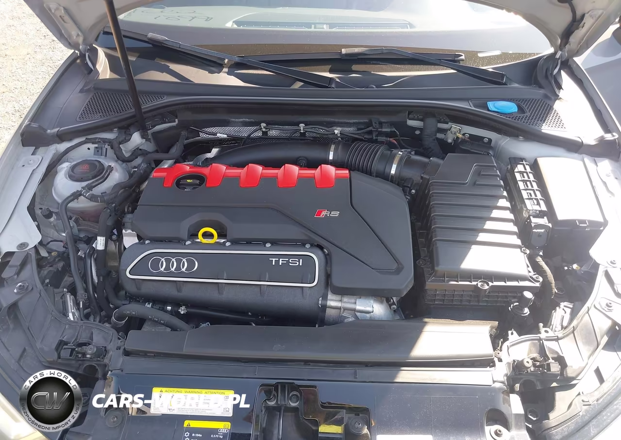 2020 Audi Rs 3 Tfsi Quattro S Tronic VIN:WUABWGFF3LA901554 - 10