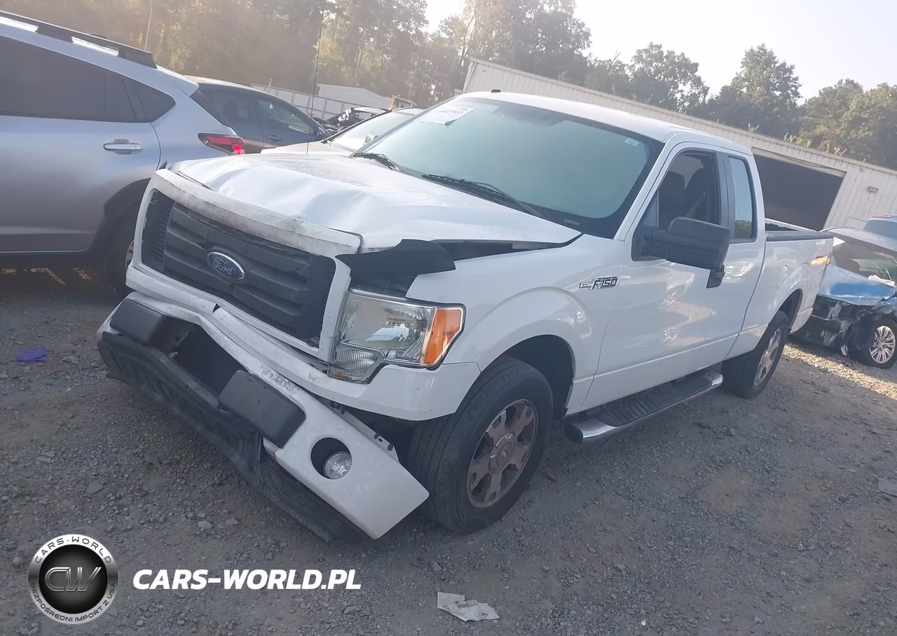 2010 Ford F-150 Stx-Xl VIN:1FTEX1CW3AFA91545 - 2