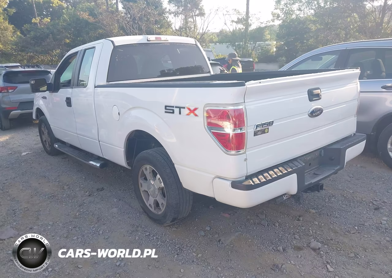 2010 Ford F-150 Stx-Xl VIN:1FTEX1CW3AFA91545 - 3