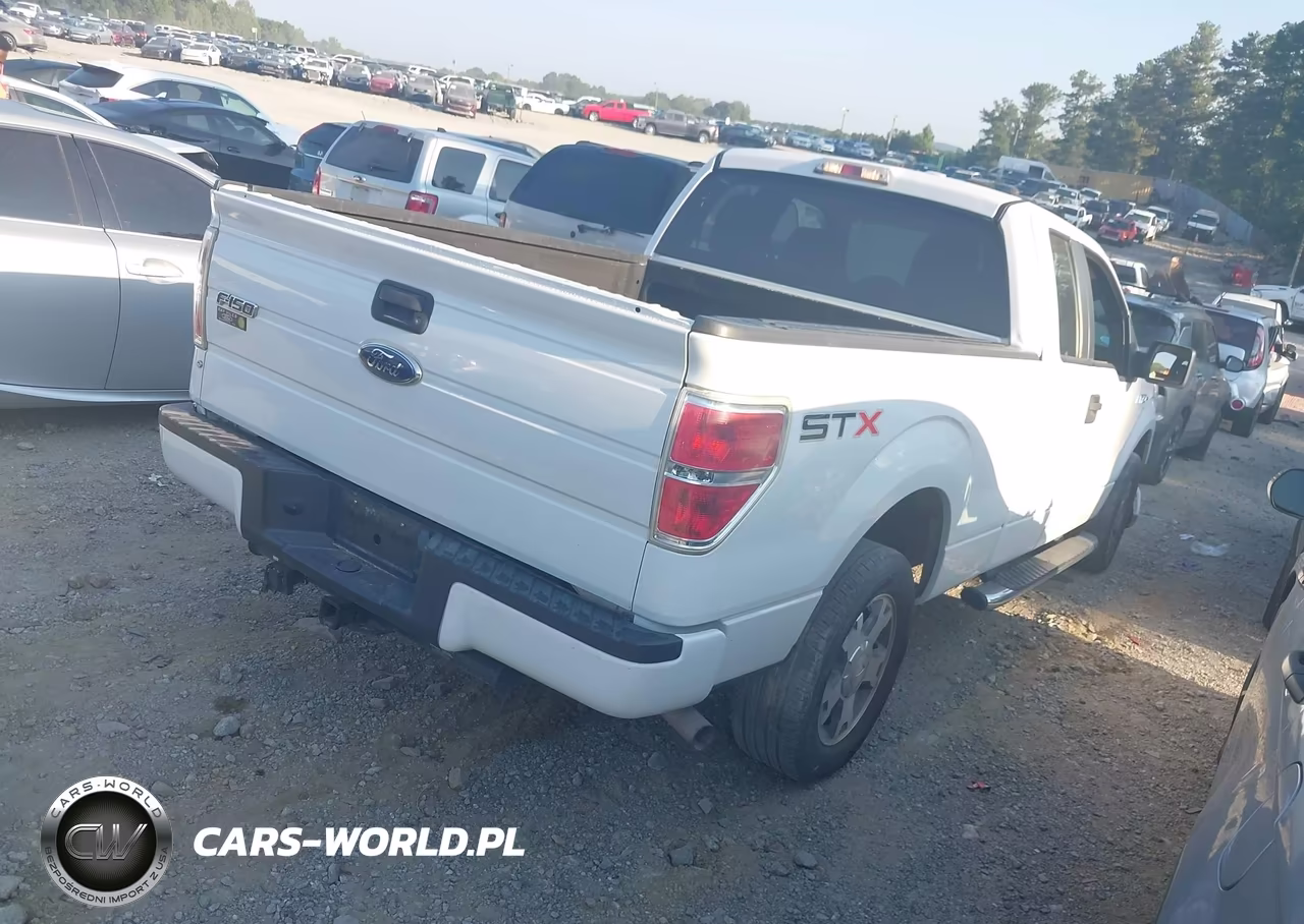 2010 Ford F-150 Stx-Xl VIN:1FTEX1CW3AFA91545 - 4