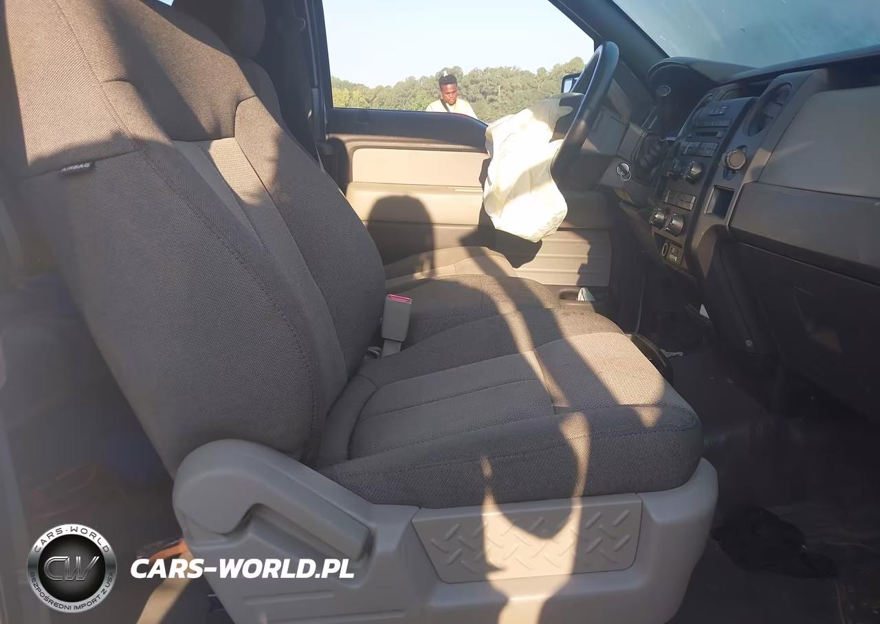 2010 Ford F-150 Stx-Xl VIN:1FTEX1CW3AFA91545 - 5