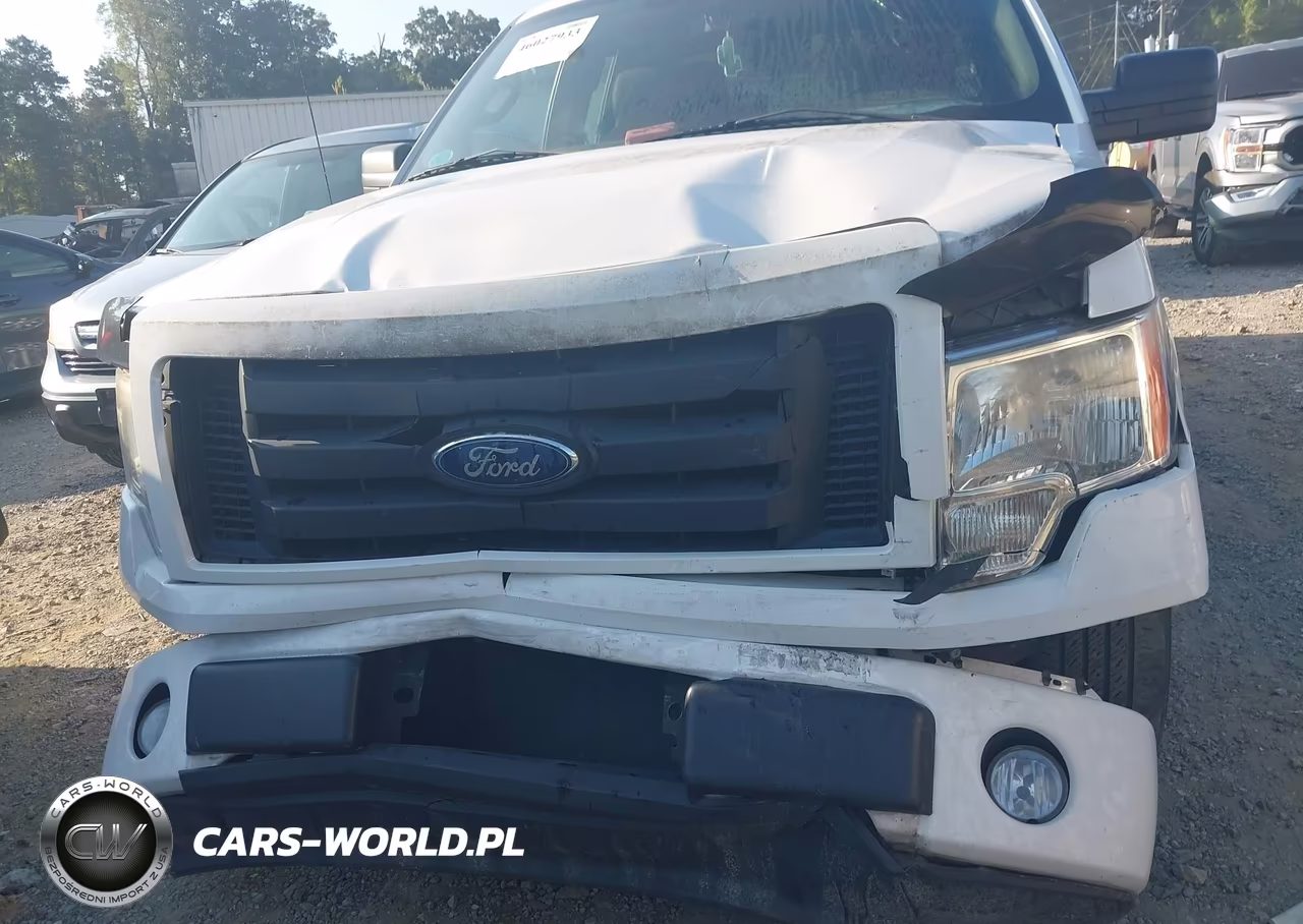 2010 Ford F-150 Stx-Xl VIN:1FTEX1CW3AFA91545 - 6