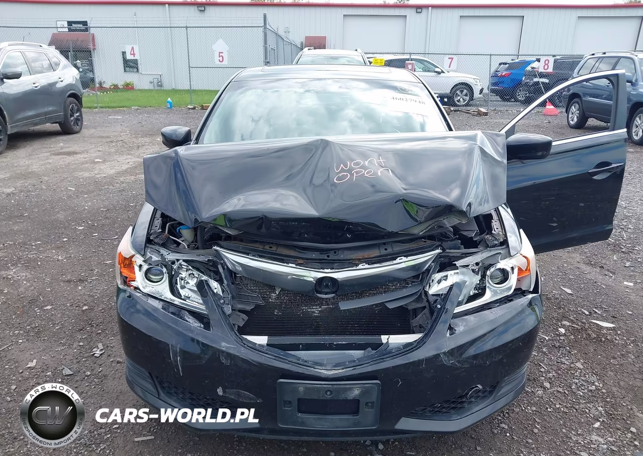 2014 Acura Ilx 2.0L VIN:19VDE1F33EE004870 - 10