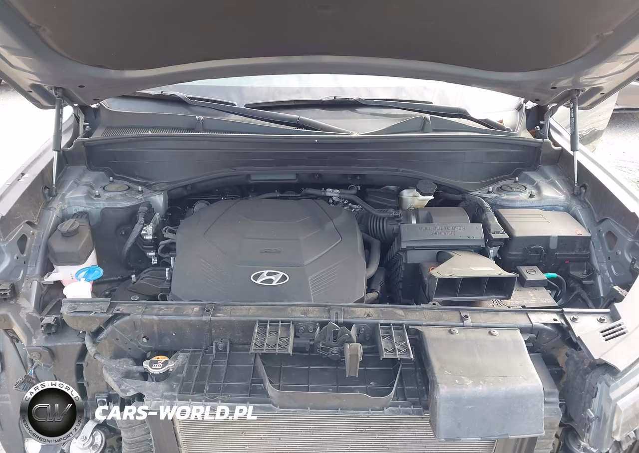 2023 Hyundai Palisade Sel VIN:KM8R2DGE7PU583899 - 10