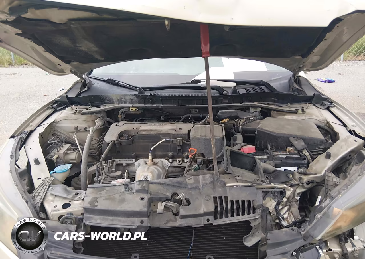 2014 Honda Accord Ex-L VIN:1HGCR2F84EA165919 - 10