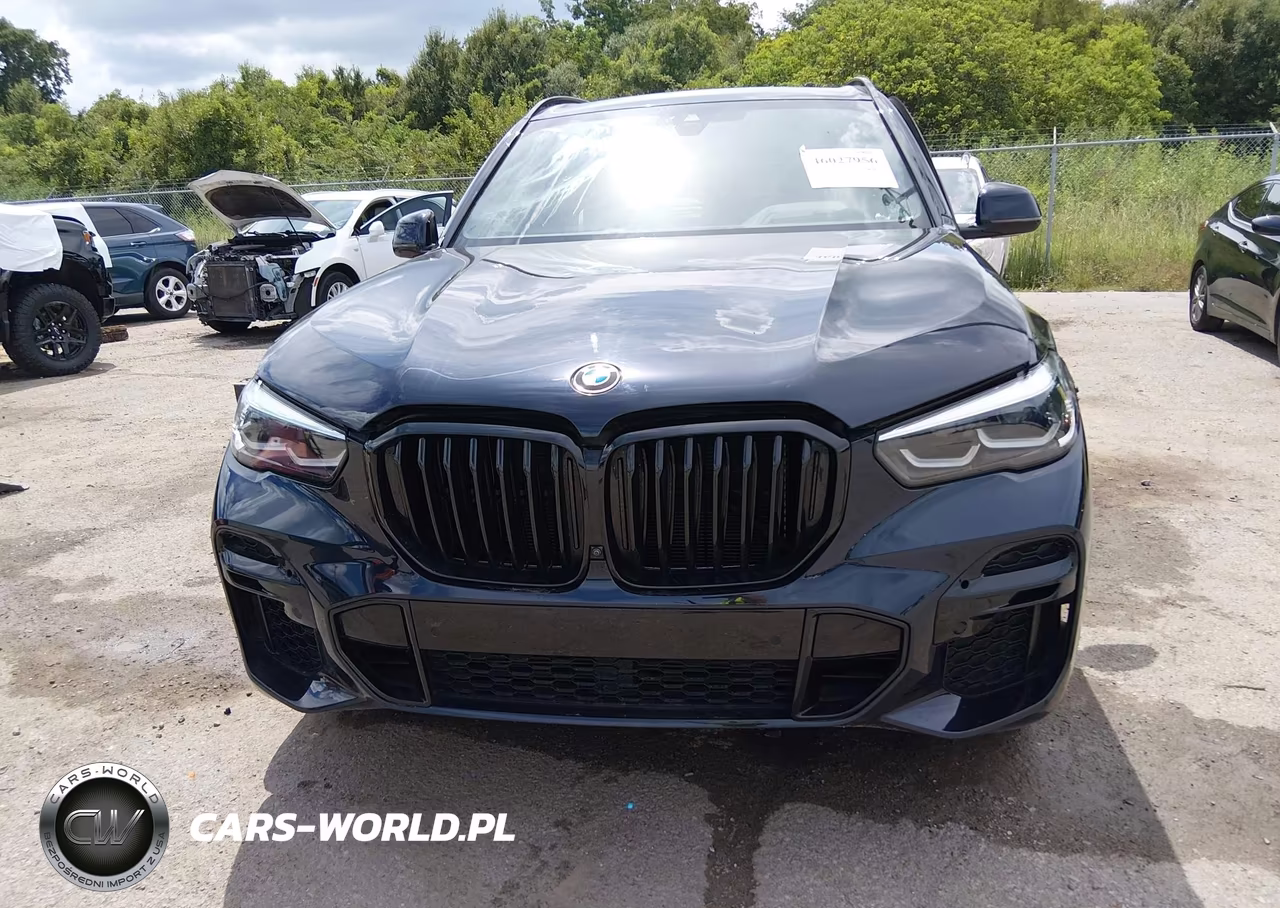 2023 BMW X5 Sdrive40I VIN:5UXCR4C08P9R18167 - 12
