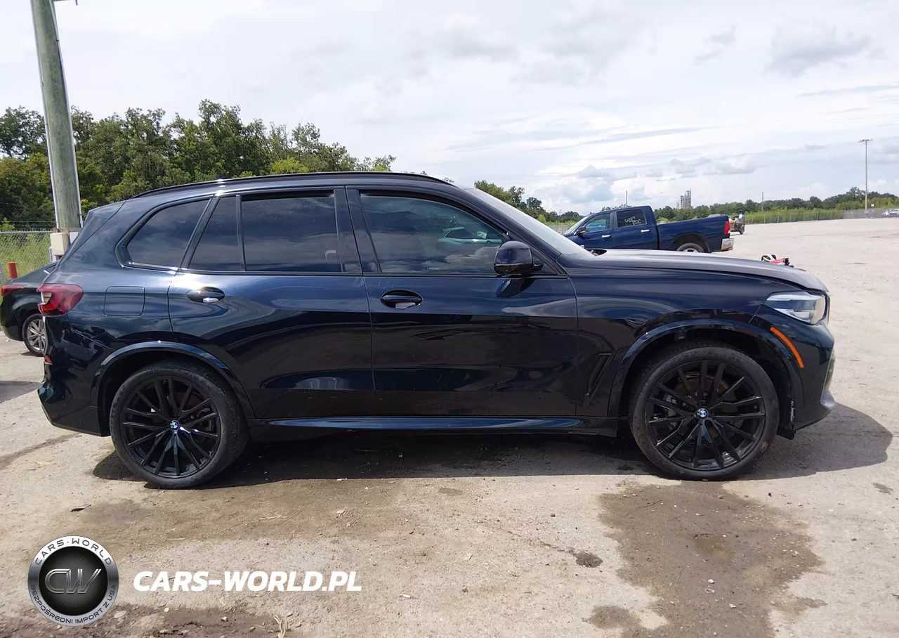 2023 BMW X5 Sdrive40I VIN:5UXCR4C08P9R18167 - 13