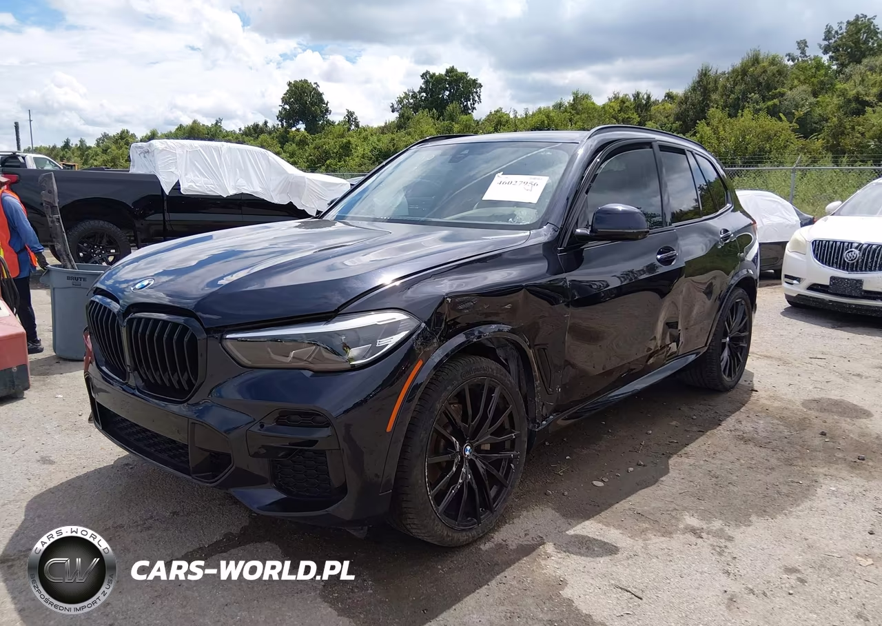 2023 BMW X5 Sdrive40I VIN:5UXCR4C08P9R18167 - 2
