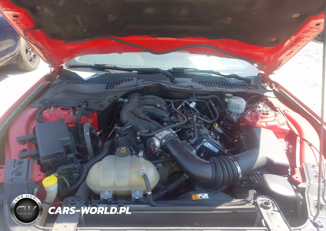 2017 Ford Mustang V6 VIN:1FA6P8AM0H5309011 - 10