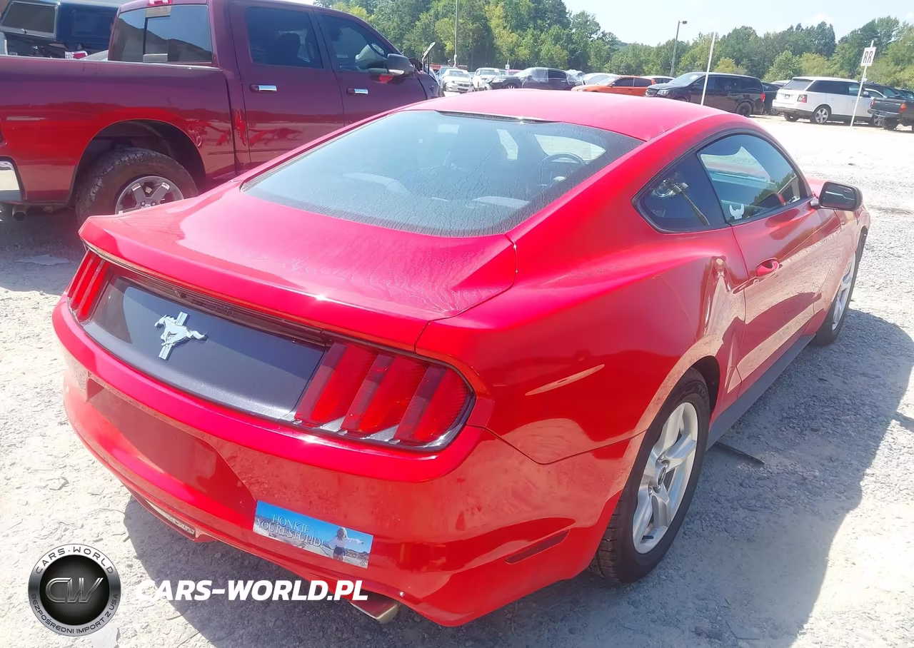 2017 Ford Mustang V6 VIN:1FA6P8AM0H5309011 - 4
