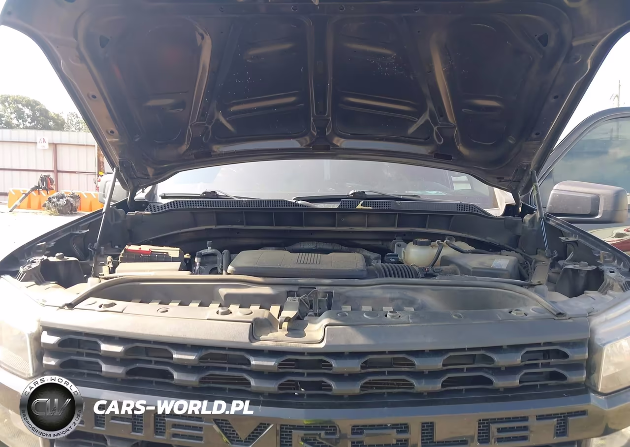 2019 Chevrolet Silverado 1500 Custom Trail Boss VIN:1GCRYCEF2KZ268495 - 10