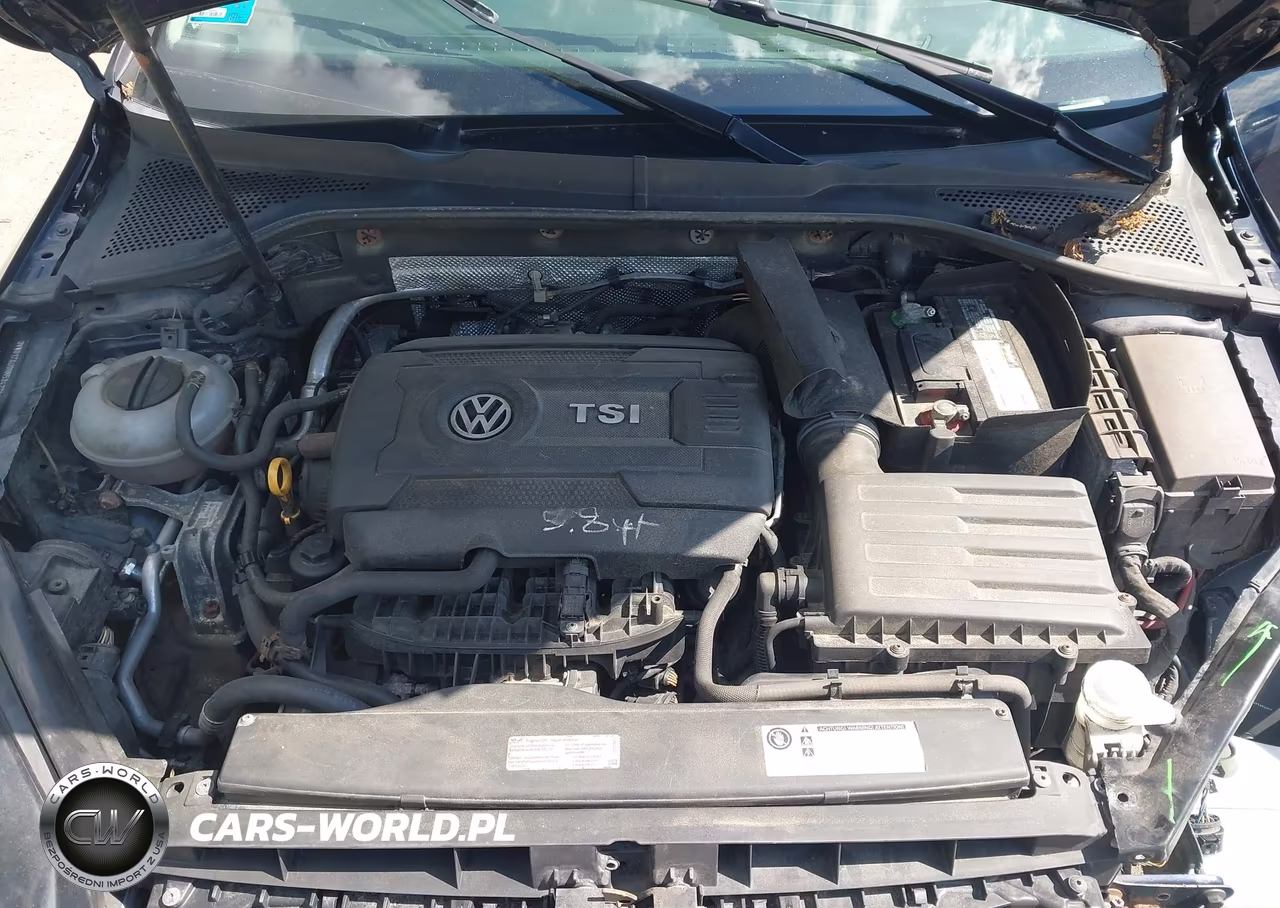 2017 Volkswagen Golf Sportwagen Tsi S VIN:3VW017AU9HM534272 - 10