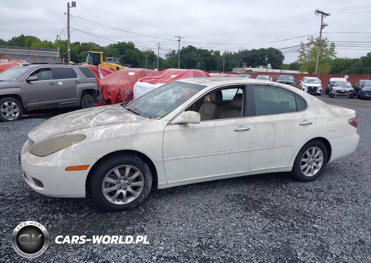 2004 Lexus Es 330 VIN:JTHBA30G445030601 - 12