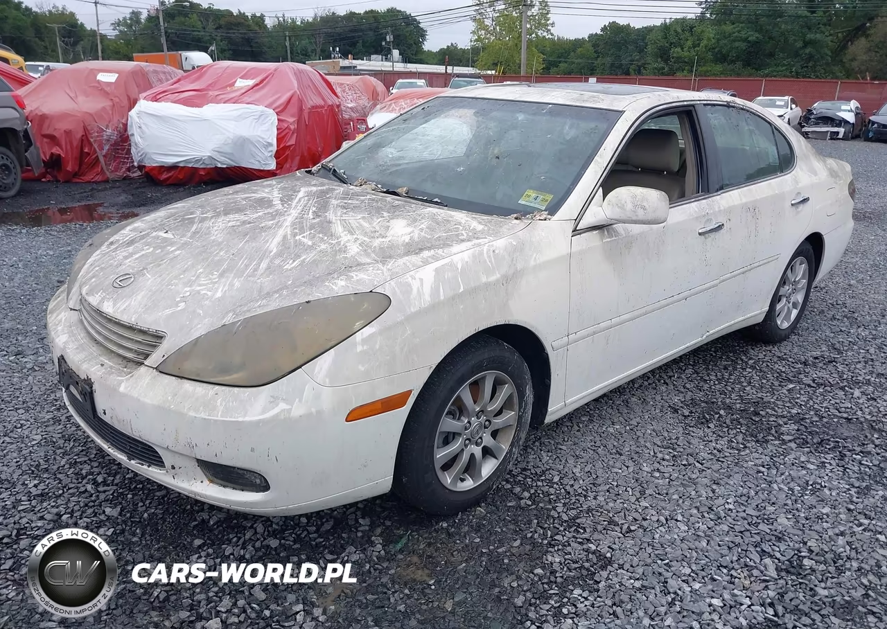 2004 Lexus Es 330 VIN:JTHBA30G445030601 - 2