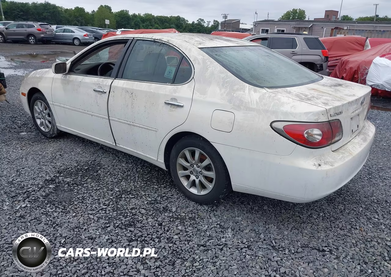 2004 Lexus Es 330 VIN:JTHBA30G445030601 - 3