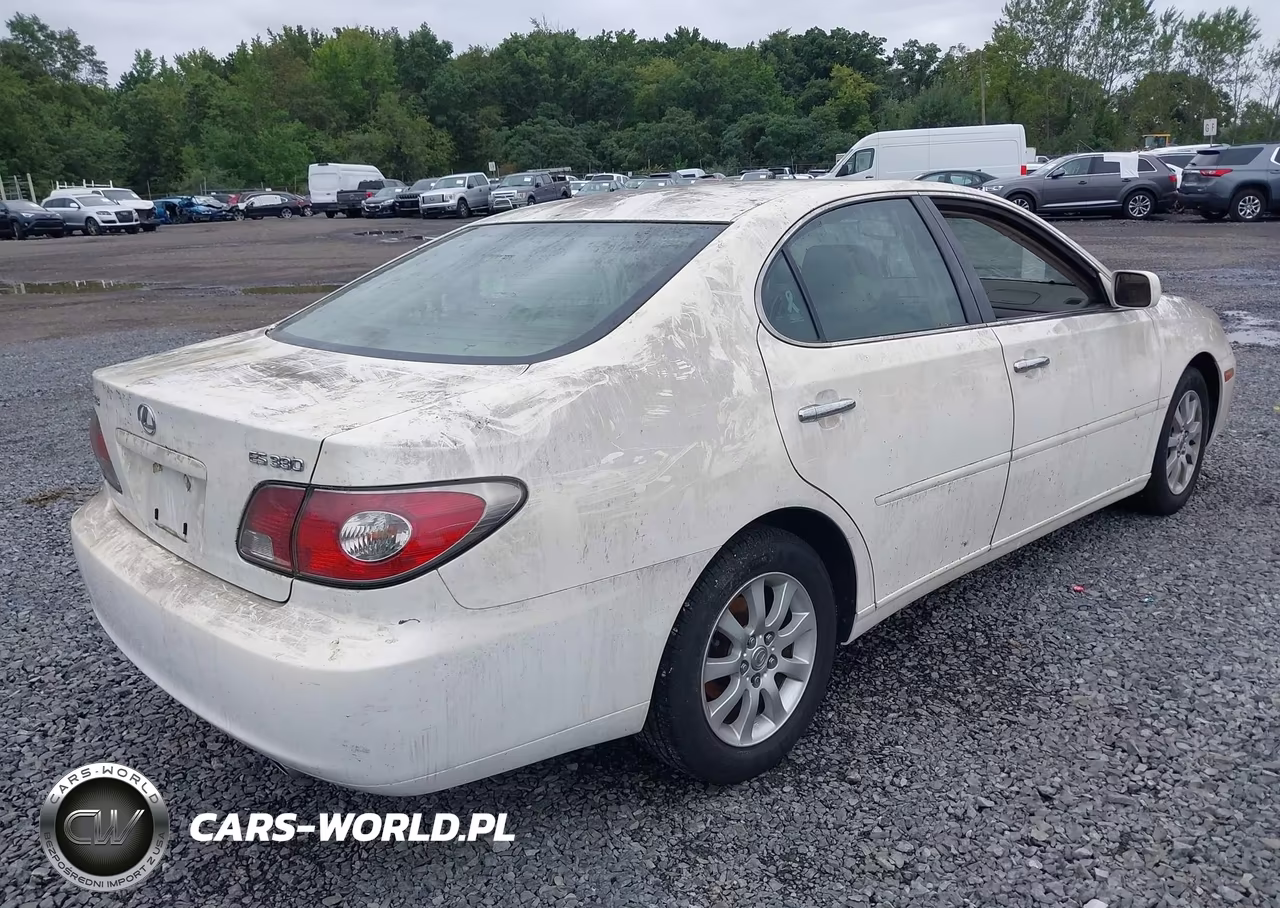 2004 Lexus Es 330 VIN:JTHBA30G445030601 - 4