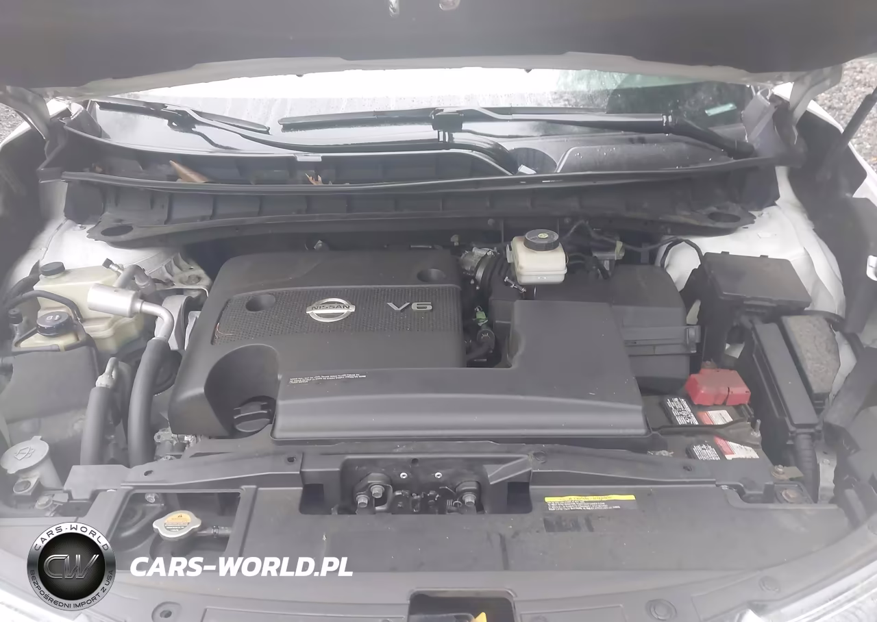 2017 Nissan Murano Platinum VIN:5N1AZ2MHXHN189059 - 10