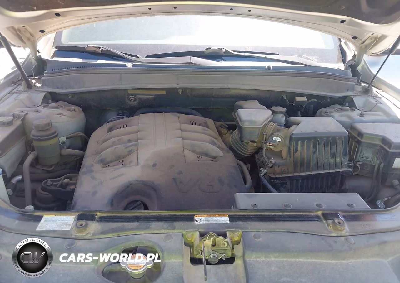 2009 Hyundai Santa Fe Se VIN:5NMSH13E59H303898 - 10