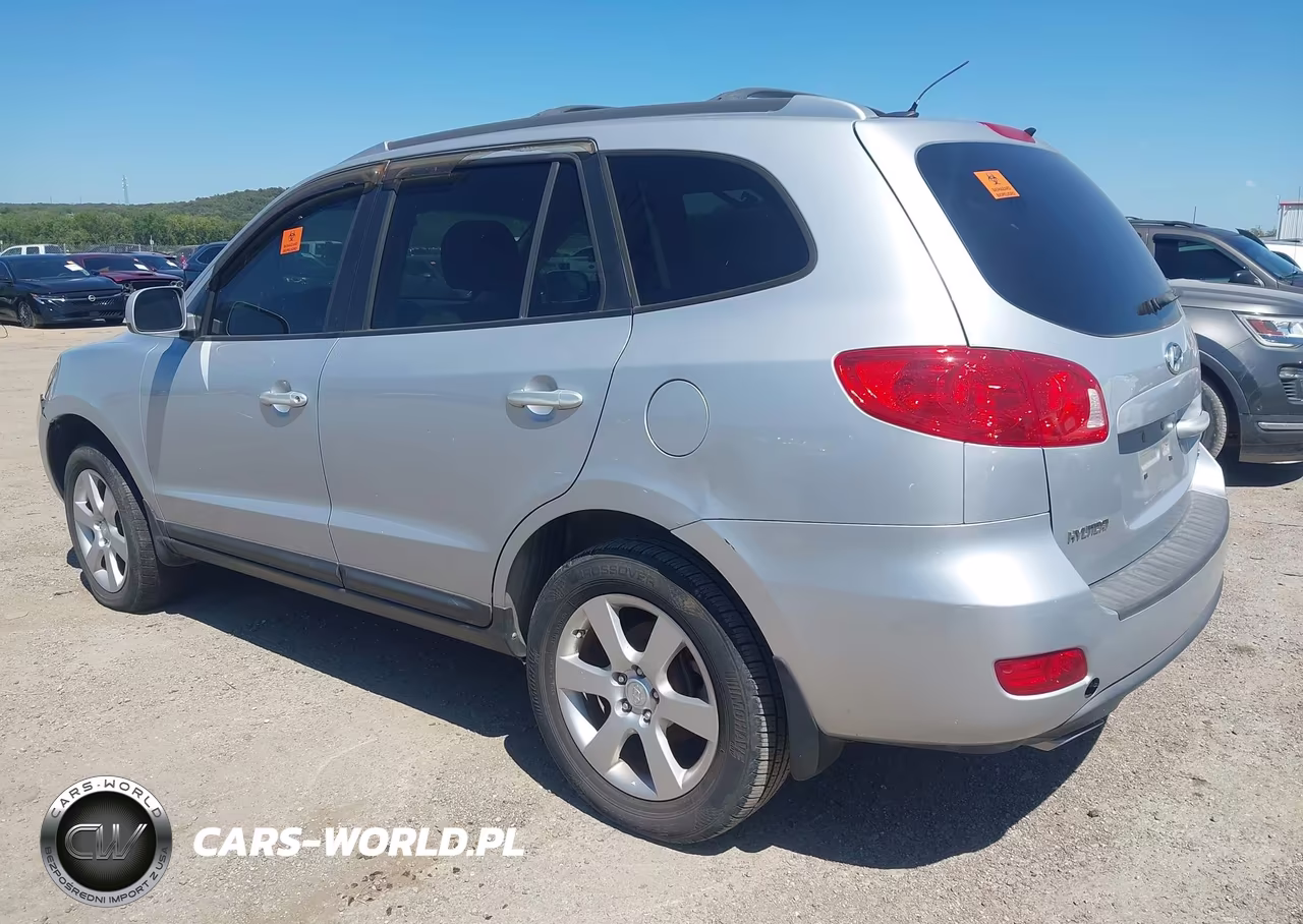 2009 Hyundai Santa Fe Se VIN:5NMSH13E59H303898 - 3