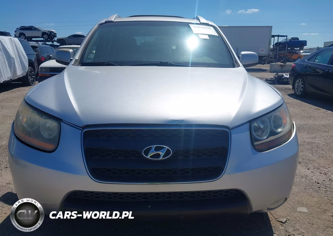 2009 Hyundai Santa Fe Se VIN:5NMSH13E59H303898 - 6