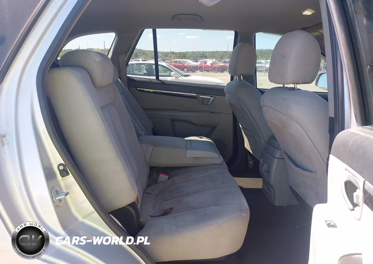 2009 Hyundai Santa Fe Se VIN:5NMSH13E59H303898 - 8