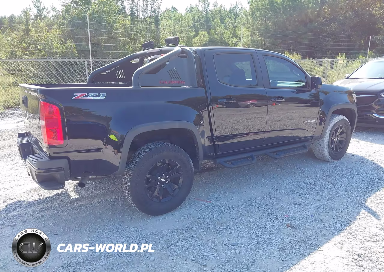 2016 Chevrolet Colorado Z71 VIN:1GCGTDE39G1248526 - 4