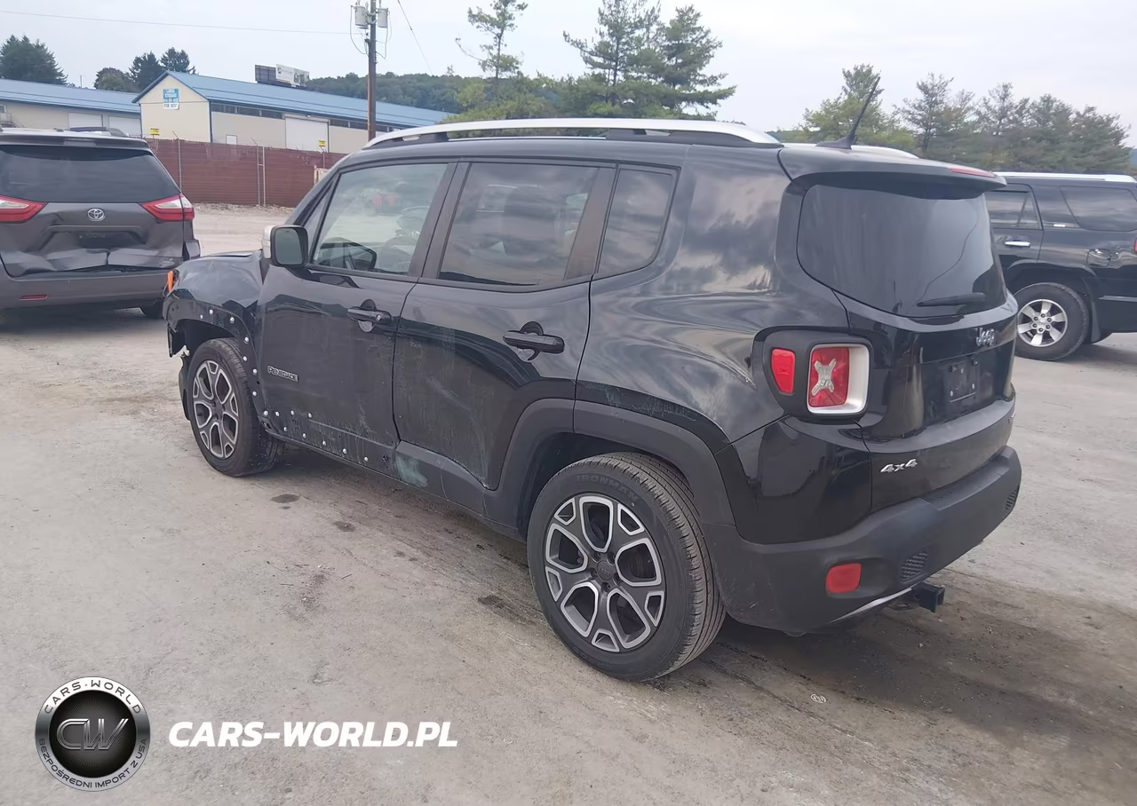 2015 Jeep Renegade Limited VIN:ZACCJBDT5FPC01910 - 3