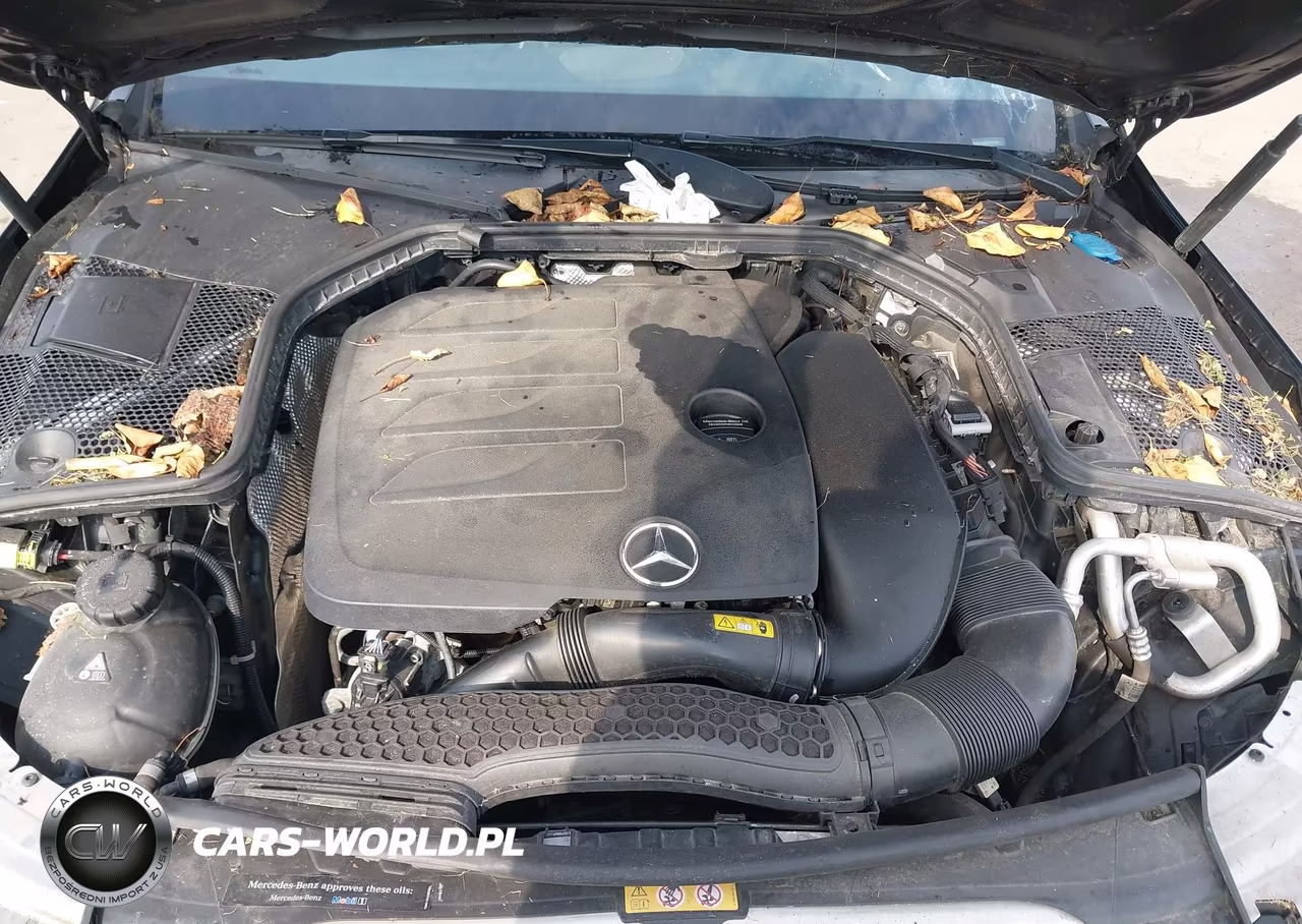 2019 Mercedes-Benz C 300 4Matic VIN:55SWF8EB5KU292958 - 10