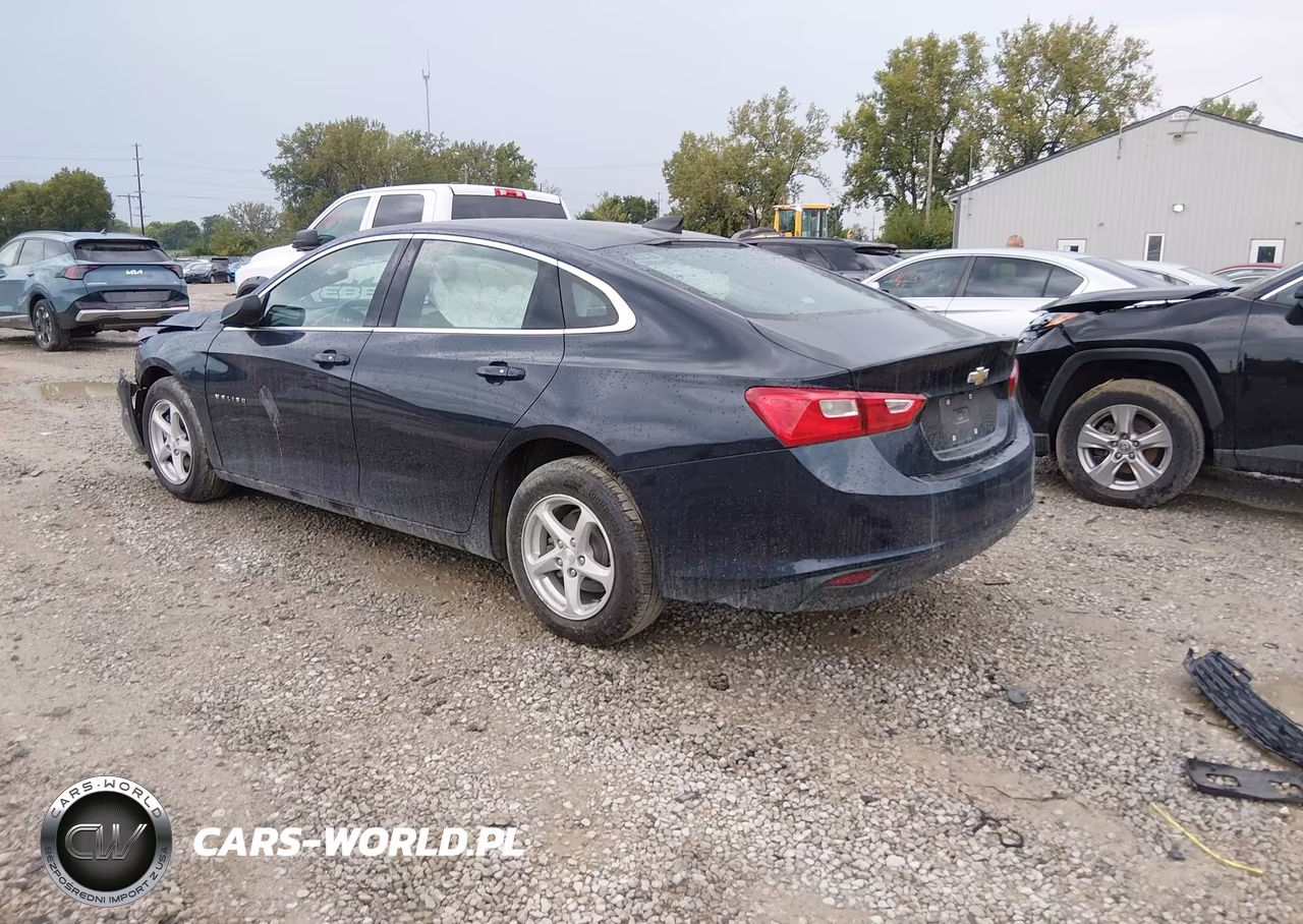 2017 Chevrolet Malibu 1Fl VIN:1G1ZC5ST6HF239265 - 3