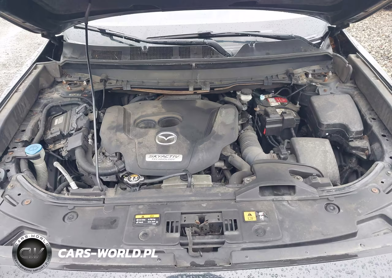 2017 Mazda Cx-9 Touring VIN:JM3TCBCY8H0143265 - 10