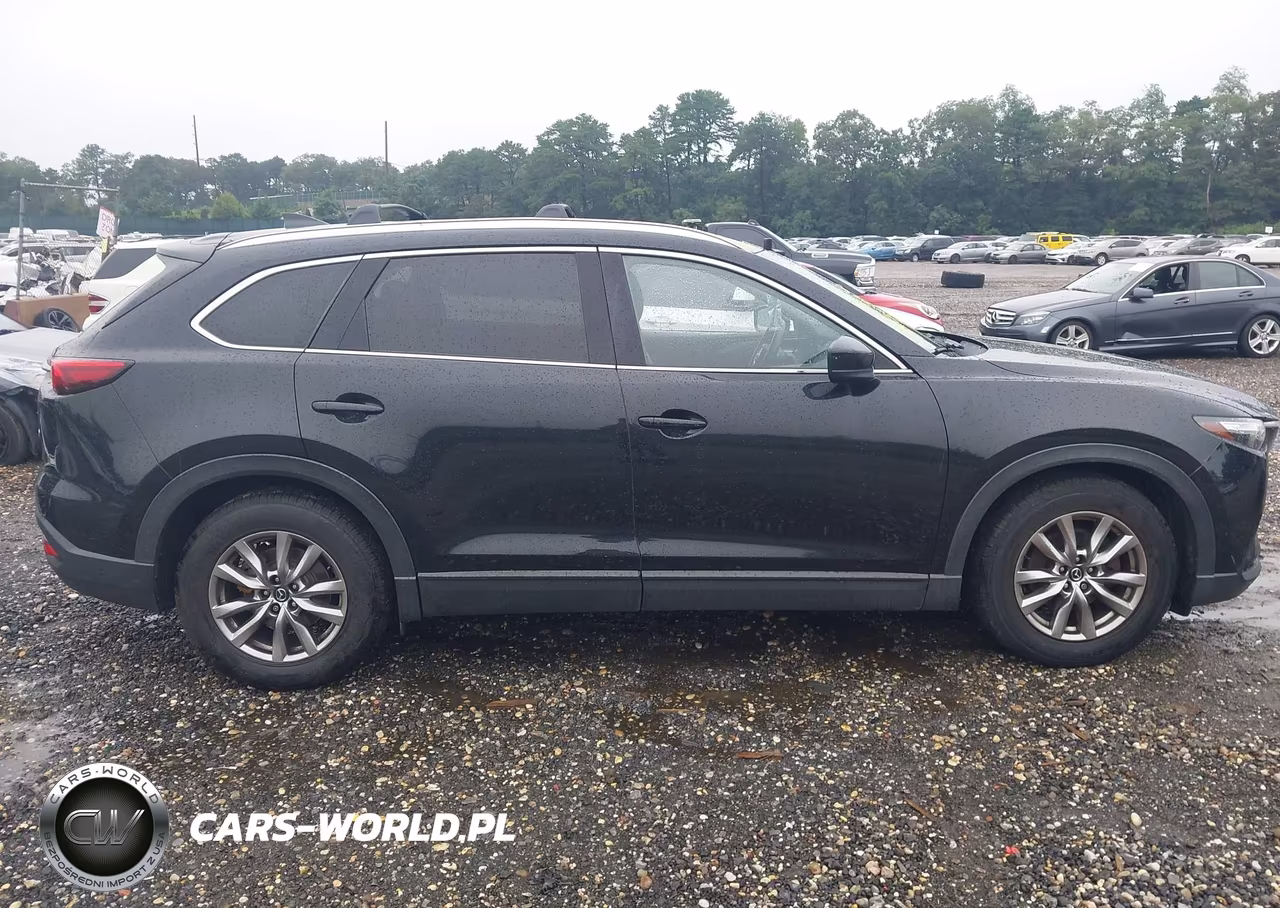 2017 Mazda Cx-9 Touring VIN:JM3TCBCY8H0143265 - 13