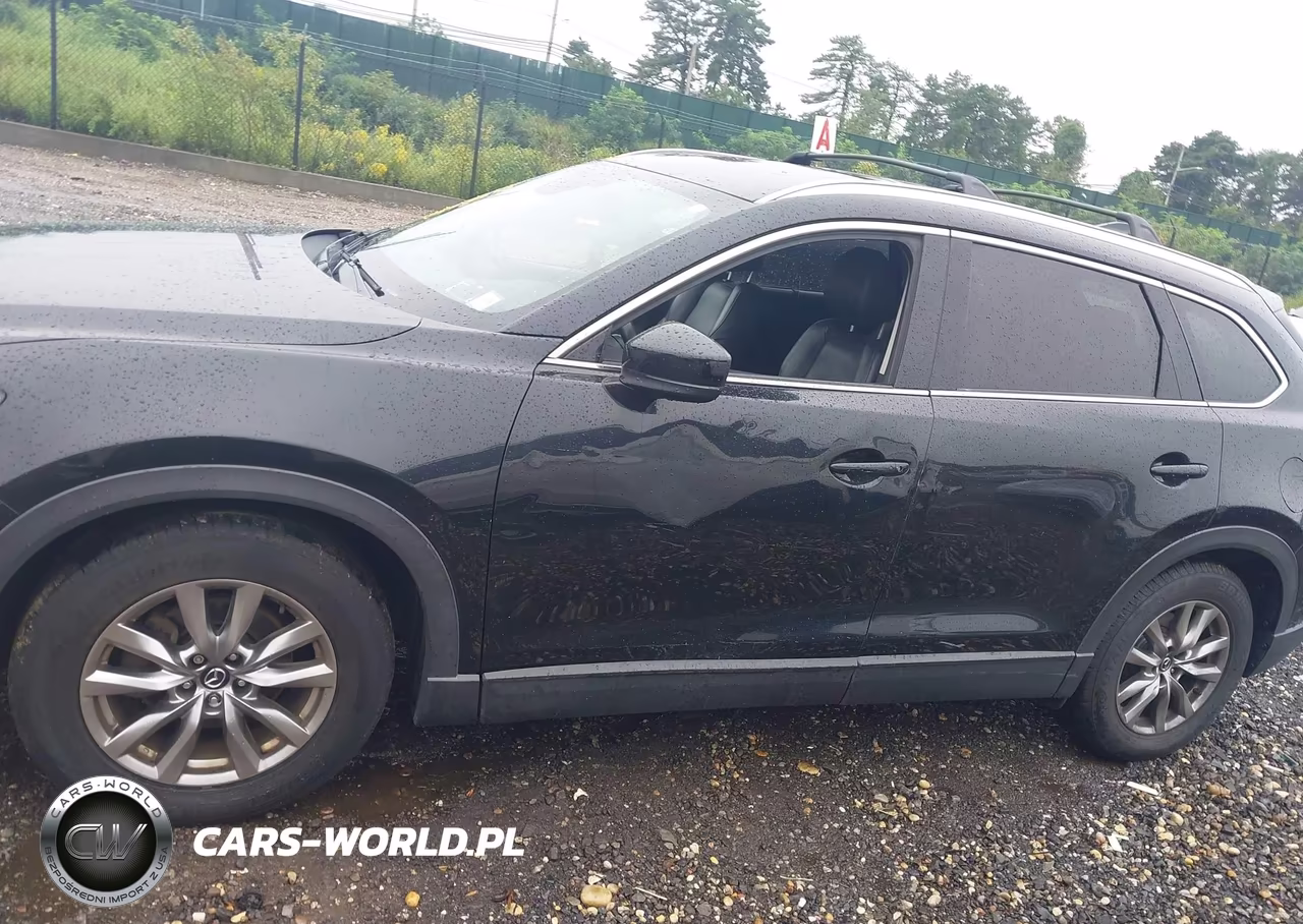 2017 Mazda Cx-9 Touring VIN:JM3TCBCY8H0143265 - 14