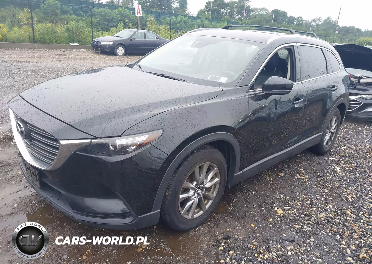 2017 Mazda Cx-9 Touring VIN:JM3TCBCY8H0143265 - 2