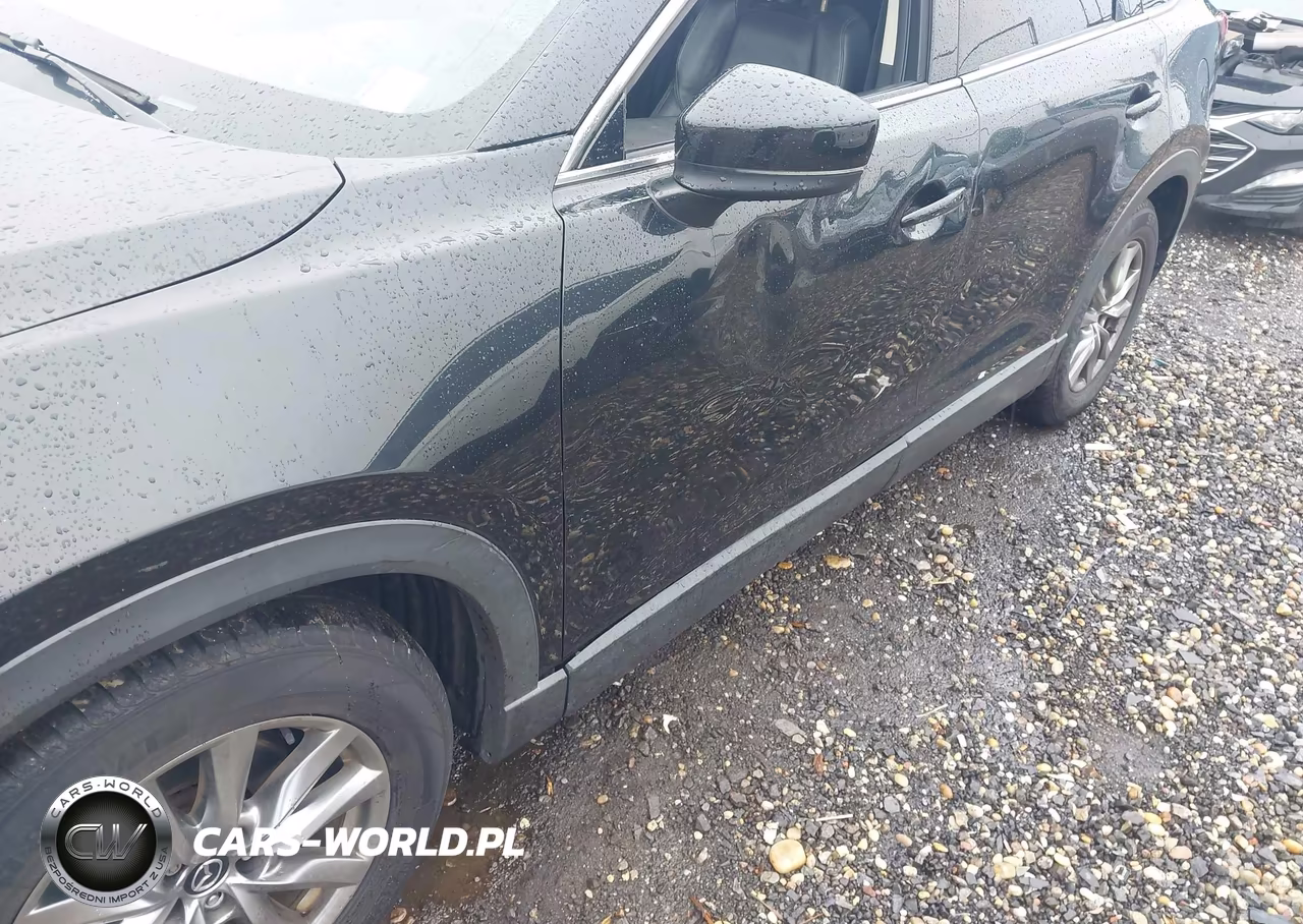 2017 Mazda Cx-9 Touring VIN:JM3TCBCY8H0143265 - 6