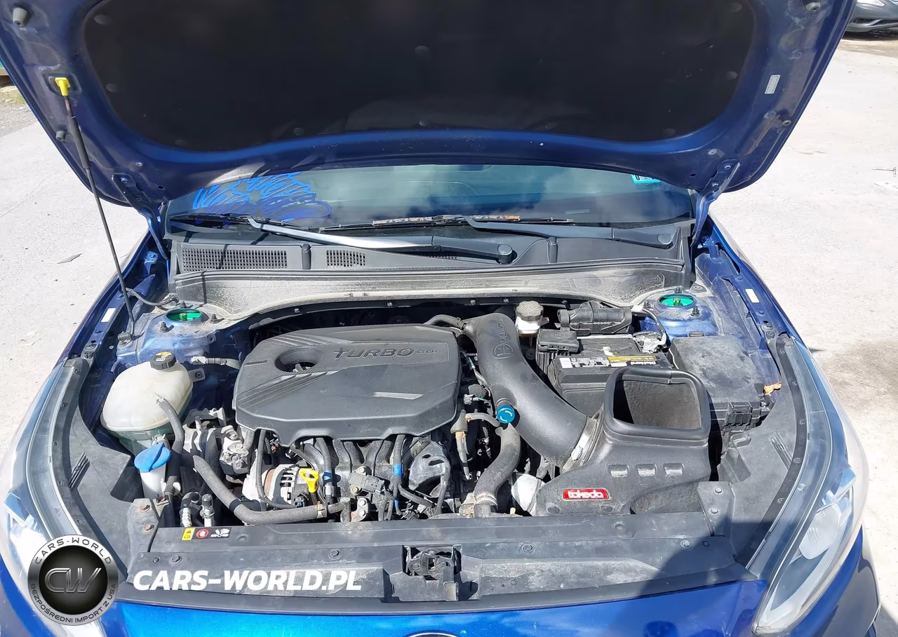 2020 Kia Forte Gt Manual VIN:3KPF44AC0LE168666 - 10