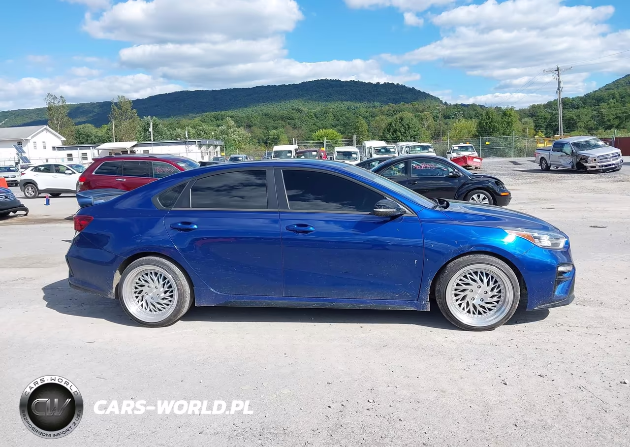2020 Kia Forte Gt Manual VIN:3KPF44AC0LE168666 - 13