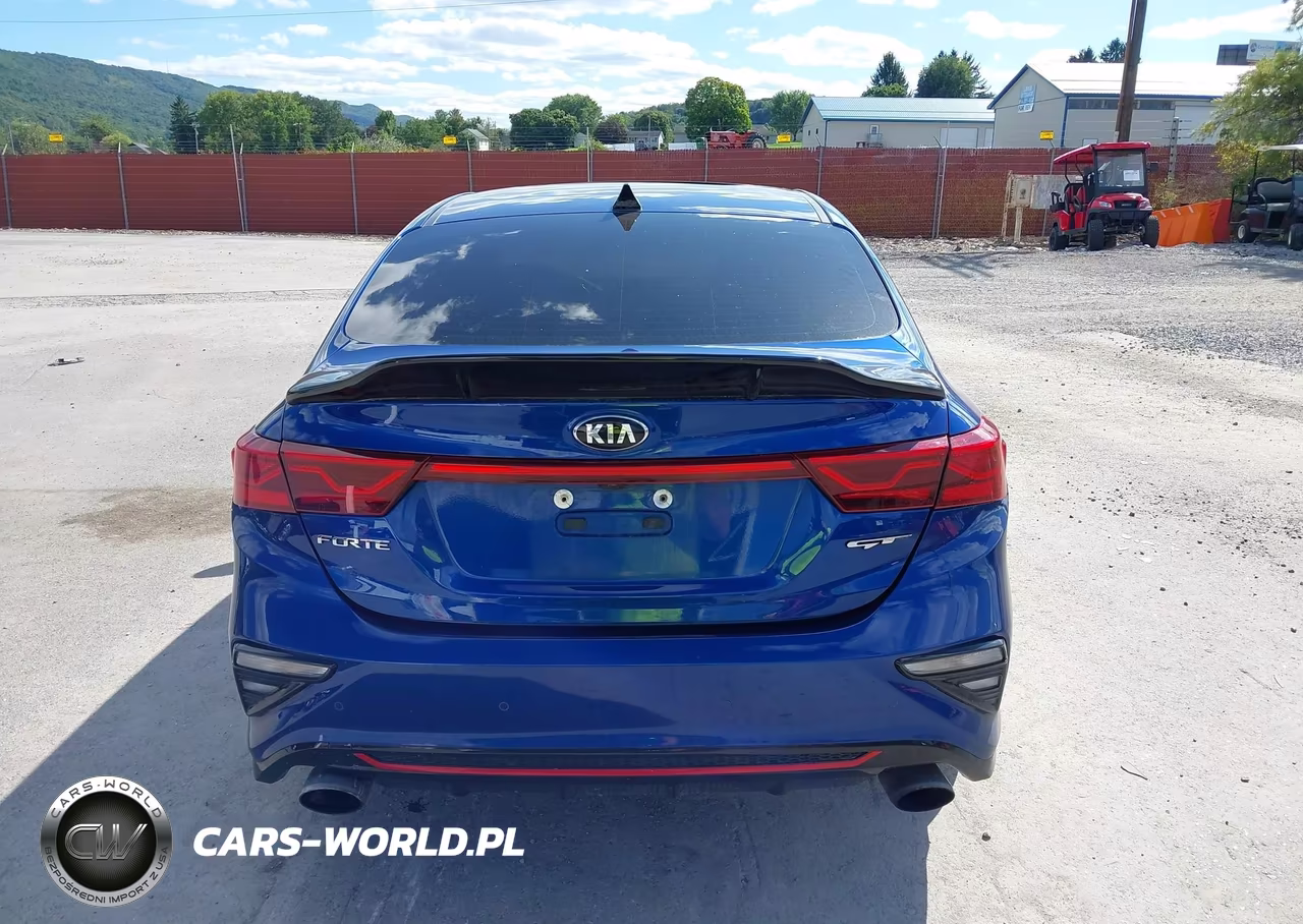 2020 Kia Forte Gt Manual VIN:3KPF44AC0LE168666 - 16