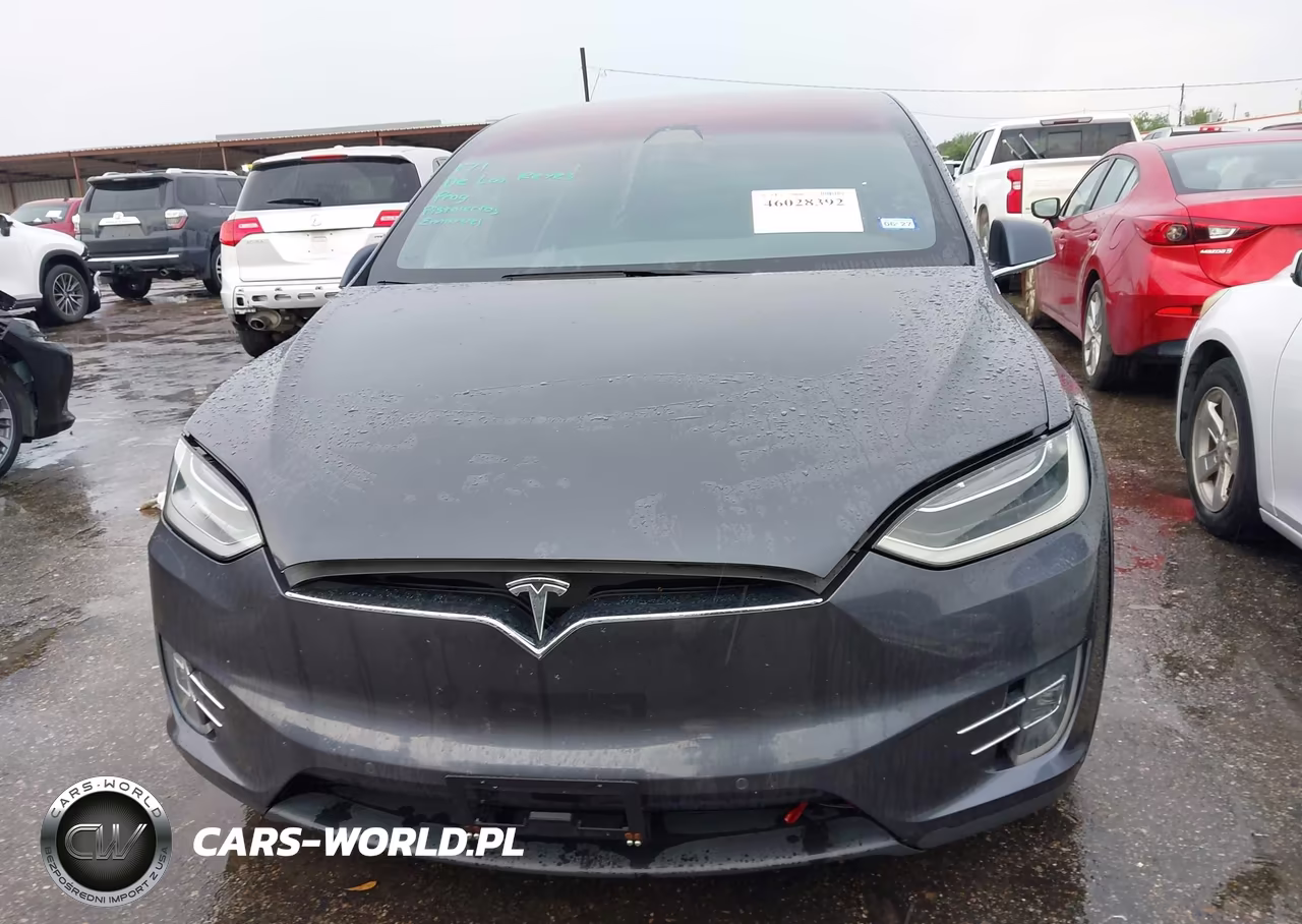 2018 Tesla Model X 100D-75D-P100D VIN:5YJXCBE22JF103905 - 10