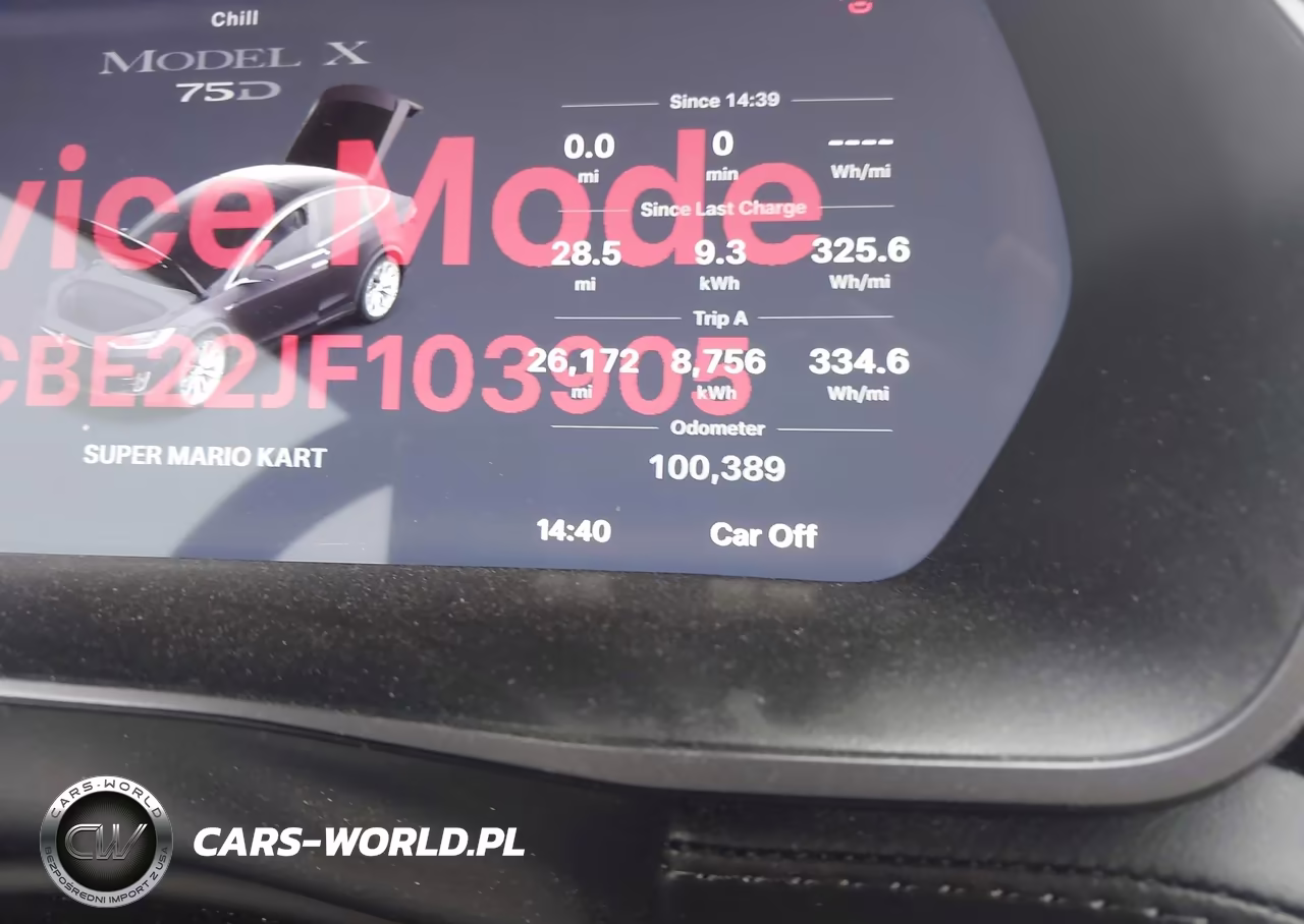 2018 Tesla Model X 100D-75D-P100D VIN:5YJXCBE22JF103905 - 13