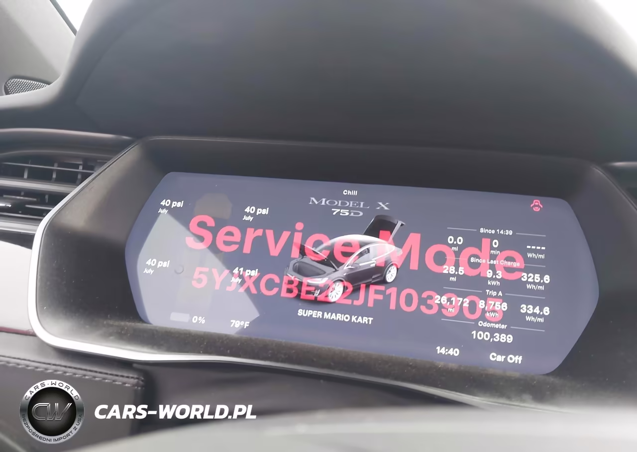 2018 Tesla Model X 100D-75D-P100D VIN:5YJXCBE22JF103905 - 7