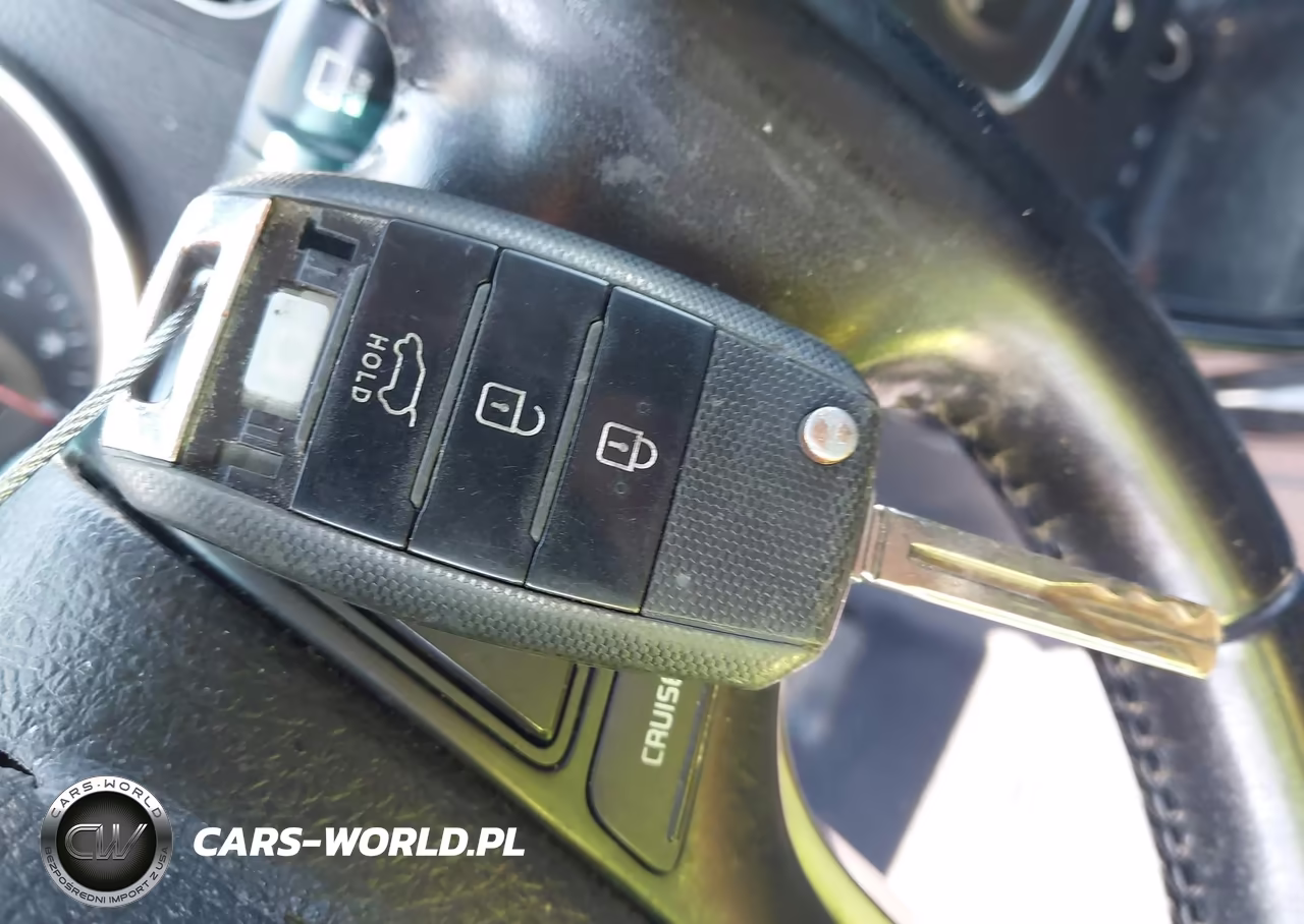 2014 Kia Sorento Lx VIN:5XYKTDA6XEG521335 - 11