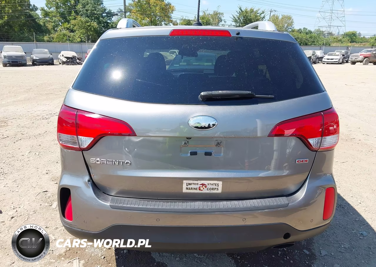 2014 Kia Sorento Lx VIN:5XYKTDA6XEG521335 - 17