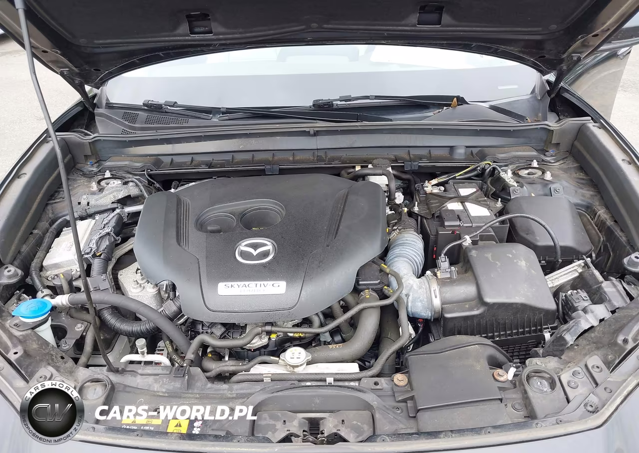 2021 Mazda Cx-30 2.5 Turbo Premium VIN:3MVDMBDY3MM306046 - 10