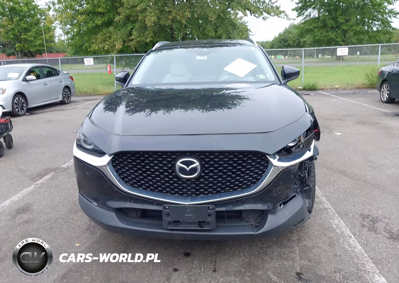 2021 Mazda Cx-30 2.5 Turbo Premium VIN:3MVDMBDY3MM306046 - 12