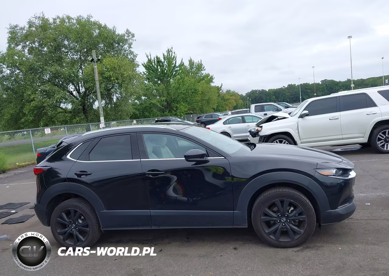 2021 Mazda Cx-30 2.5 Turbo Premium VIN:3MVDMBDY3MM306046 - 13
